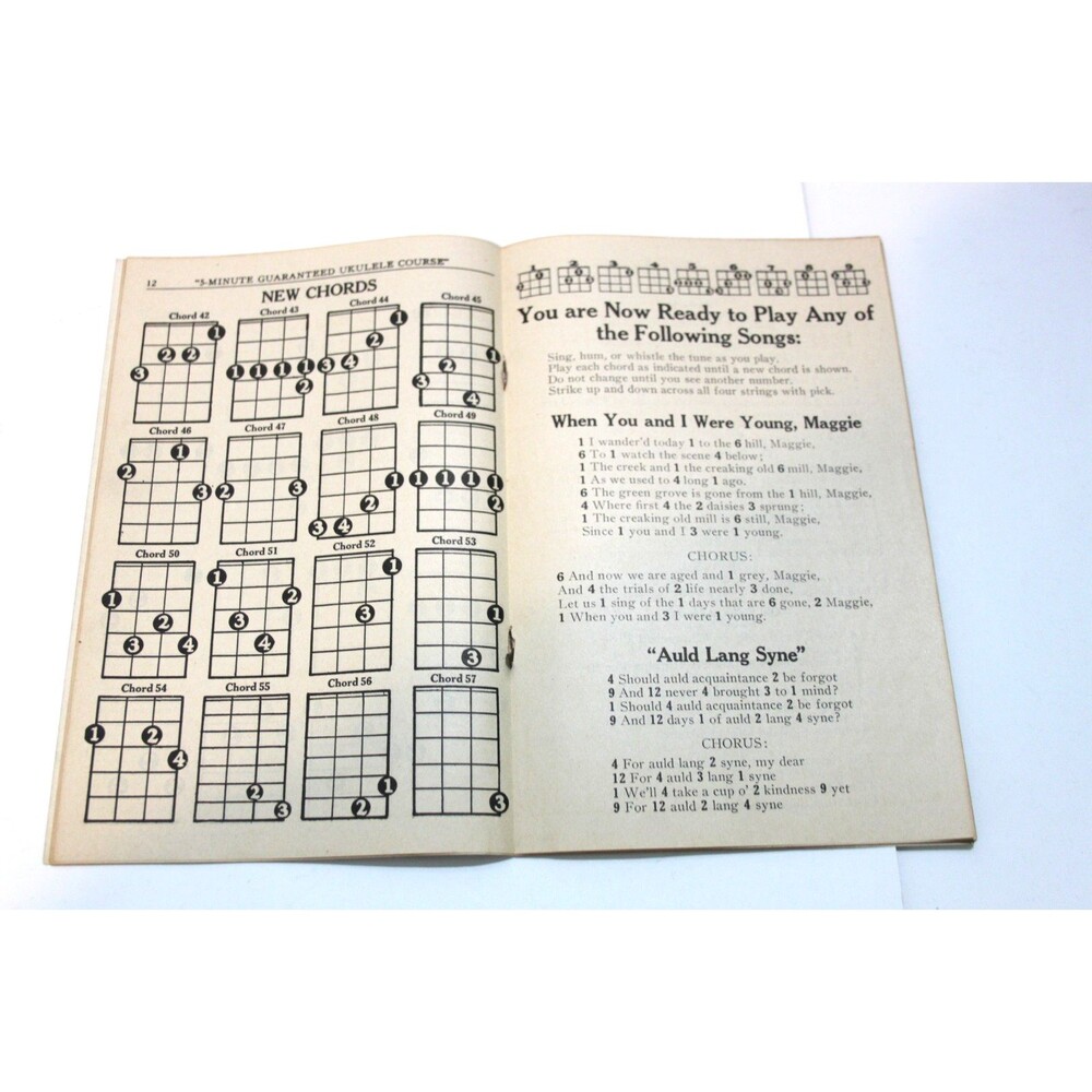 Illustrated 5 Minute Ukulele Course 1927 Vintage Instruction Music Method Guide - Picture 7 of 8
